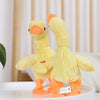 Electric Duck Toy