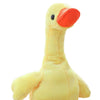 Electric Duck Toy