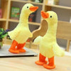 Electric Duck Toy