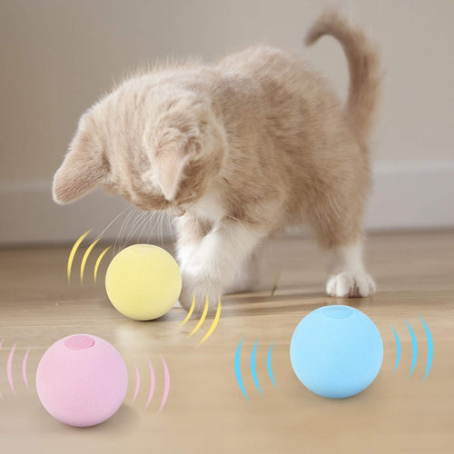 Smart Cat Toy
