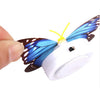 Color light Butterfly Wall Stickers easy installation night light