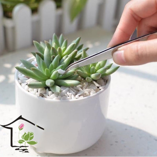 2pcs/lot Stainless Steel Curved Tweezer Stainless Steel Tweezer