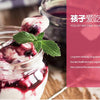 XEOLEO Yogurt maker