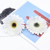 2/5/10 Pieces 10cm silk Gerbera scrapbooking wedding home decoration