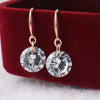 Hot Selling Lady Elegant Fashion Noble Zircon Crystal Dangle Drop Earrings