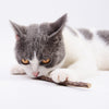 20pcs Pure Natural Catnip Pet Cat Toy