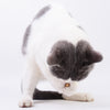 20pcs Pure Natural Catnip Pet Cat Toy