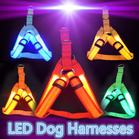 Nylon Pet Safety LED Harness Dog Product Flashing Light