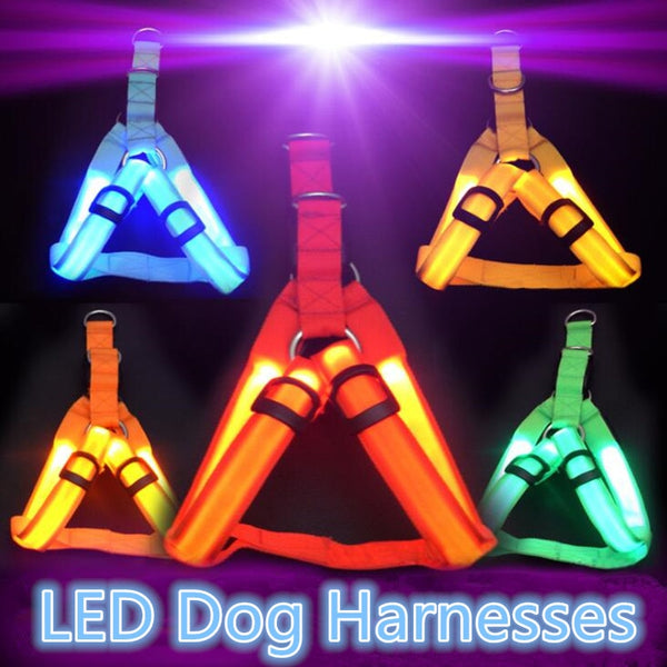 Nylon Pet Safety LED Harness Dog Product Flashing Light