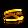Nylon Pet Safety LED Harness Dog Product Flashing Light