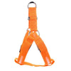 Nylon Pet Safety LED Harness Dog Product Flashing Light