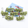 Plastic Fruit Christmas Crafts Vases