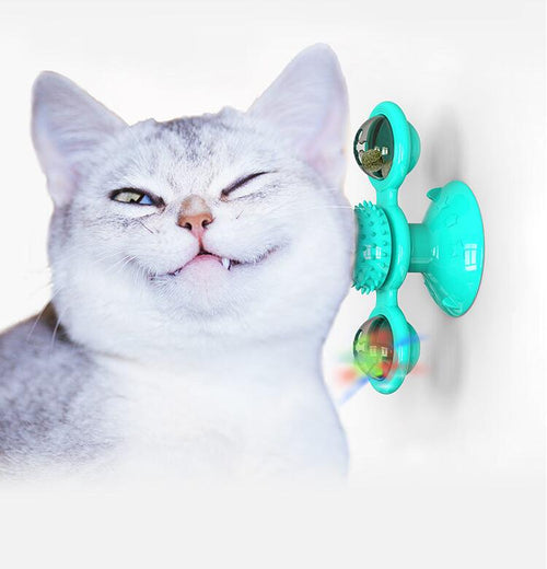 windmill cat toy Turntable Teasing Interactive cat brush with Catnip