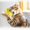 windmill cat toy Turntable Teasing Interactive cat brush with Catnip