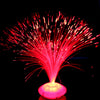 Beautiful Romantic Color Changing Light