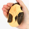 8CM Exquisite Fun Crazy Dog