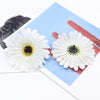 2/5/10 Pieces 10cm silk Gerbera scrapbooking wedding home decoration