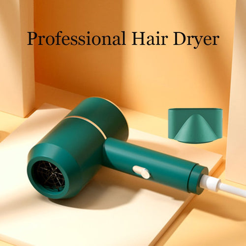 Professional Strong Wind Hair dryer Salon Dryer