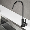 Black Kitchen Faucets Direct Drinking Tap