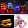 Nylon Pet Safety LED Harness Dog Product Flashing Light