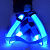Nylon Pet Safety LED Harness Dog Product Flashing Light