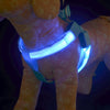Nylon Pet Safety LED Harness Dog Product Flashing Light