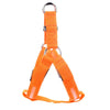 Nylon Pet Safety LED Harness Dog Product Flashing Light