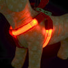 Nylon Pet Safety LED Harness Dog Product Flashing Light