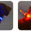 Led Dog Collar Light Chain Luminous Light