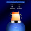 AmazeFan Ultrasonic Skin Scrubber