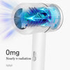 Professional Strong Wind Hair dryer Salon Dryer