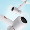Professional Strong Wind Hair dryer Salon Dryer