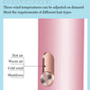 Professional Strong Wind Hair dryer Salon Dryer