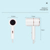 Professional Strong Wind Hair dryer Salon Dryer