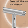 Professional Hair Dryer Hot & Cold Wind Anion Blow Dryer