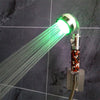 Color Changing LED Anion Spa Shower Head