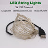 2/5/10M USB Led String Lights Bulb Outdoor Waterproof Garlands Festoon Led