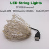 2/5/10M USB Led String Lights Bulb Outdoor Waterproof Garlands Festoon Led