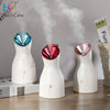 Nano Ionic Vaporizador Facial Face Steamer