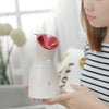 Nano Ionic Vaporizador Facial Face Steamer