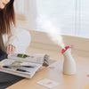 Nano Ionic Vaporizador Facial Face Steamer