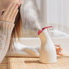 Nano Ionic Vaporizador Facial Face Steamer