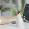 Nano Ionic Vaporizador Facial Face Steamer
