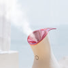 Nano Ionic Vaporizador Facial Face Steamer