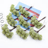 Plastic Fruit Christmas Crafts Vases