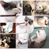 20pcs Pure Natural Catnip Pet Cat Toy
