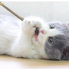20pcs Pure Natural Catnip Pet Cat Toy