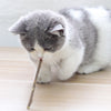 20pcs Pure Natural Catnip Pet Cat Toy