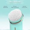 2 in 1 EMS Silicone Face Cleansing Brush
