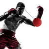 Kick Boxing Training Reflex Ball Head Band